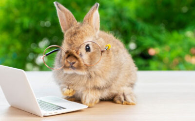 ecobono wünscht frohe Ostern!